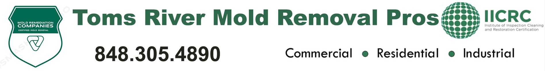 Toms River Mold Removal Pros