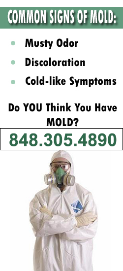 Toms River Mold Remediation Contractor